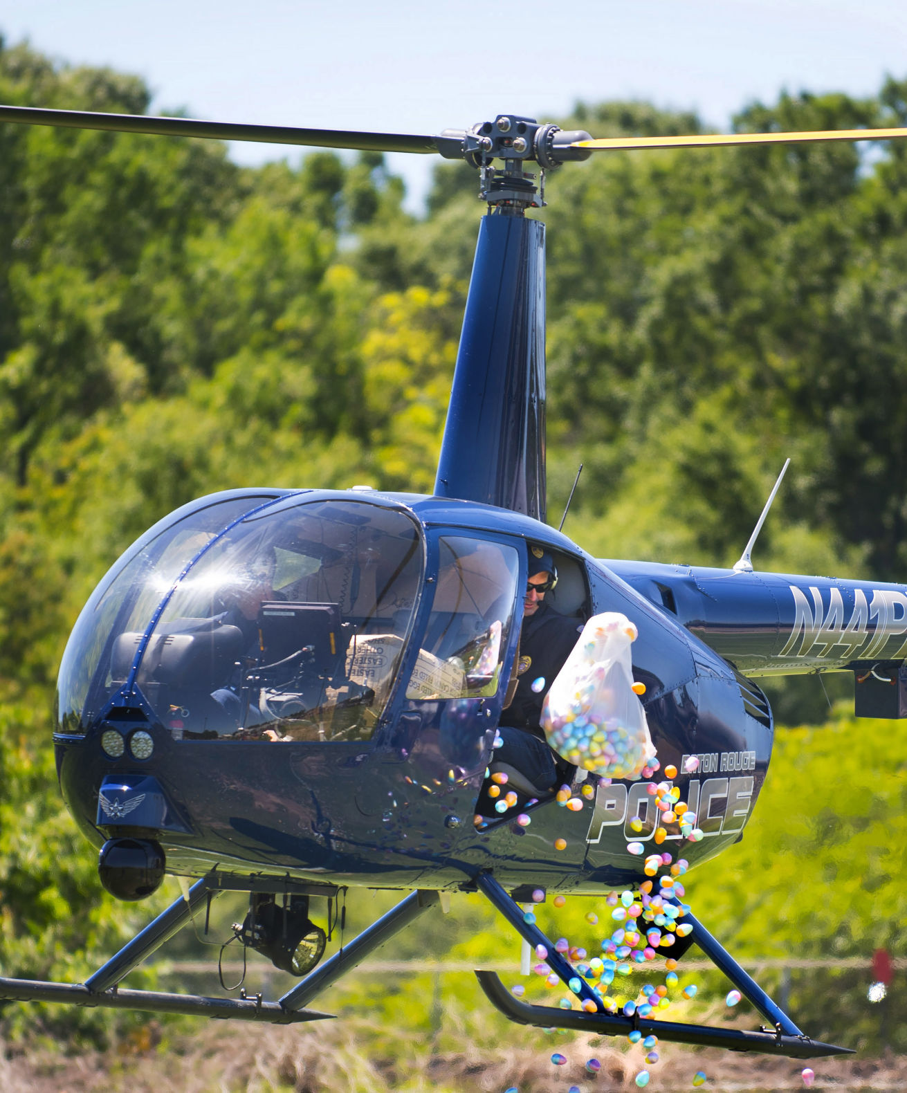 BR.eggdrop. TS 102.jpg